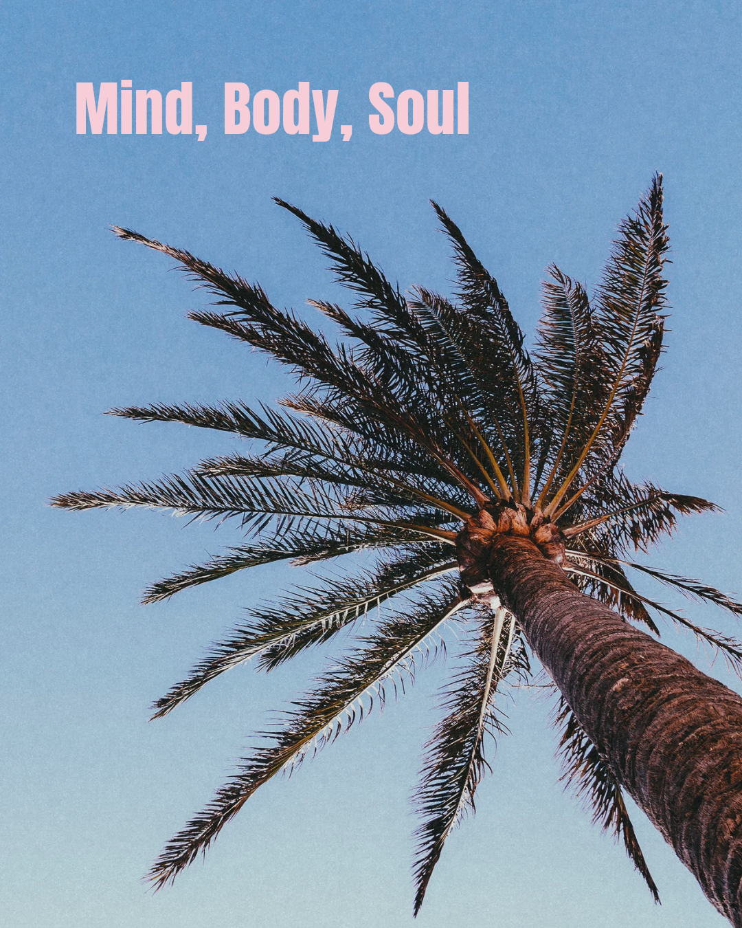 True Health: Nourishing Your Mind, Body & Soul in Maroochydore