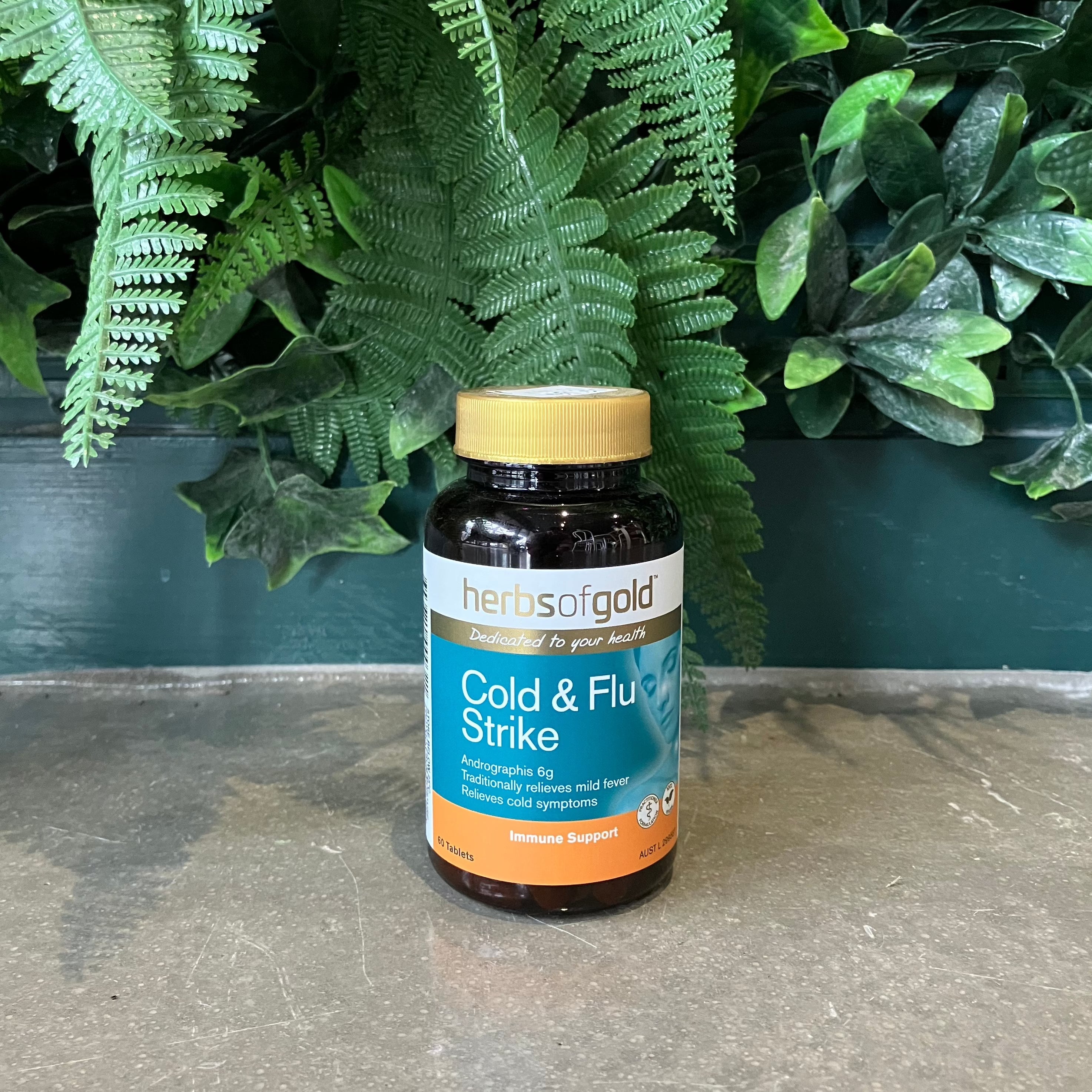 Cold & Flu Strike - Herbs of Gold - 60 Tablets